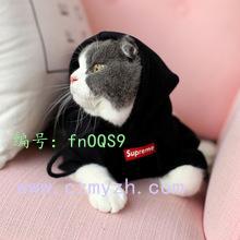 ͥ