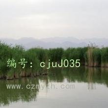 ĺ֮