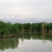 ĺ֮